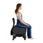 Gaiam Balance Ball Chair with Pump & Guide