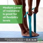 Gaiam Restore Stretch Band for Fitness & Therapy