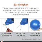 Core Fitness Fusion Ball for Yoga and Pilates