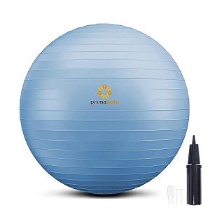 PRIMASOLE 65cm Balance Exercise Ball - Pale Gray