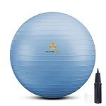 PRIMASOLE 65cm Balance Exercise Ball - Pale Gray