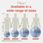 PRIMASOLE 65cm Balance Exercise Ball - Pale Gray
