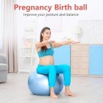PRIMASOLE 65cm Balance Exercise Ball - Pale Gray