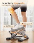 FLYBIRD Low Impact Home Stepper with Weights