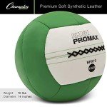 Champion Sports 10 lb Soft Shell Slam Balls