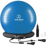 ProBody Pilates Ball Chair for Home Office Fitness