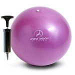Small Pilates Exercise Ball with Pump - 9 Inch