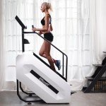 EFFICRAFT Stair Stepper with LED Display & 15 Speeds