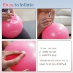 9-Inch Mini Exercise Ball for Home Workouts