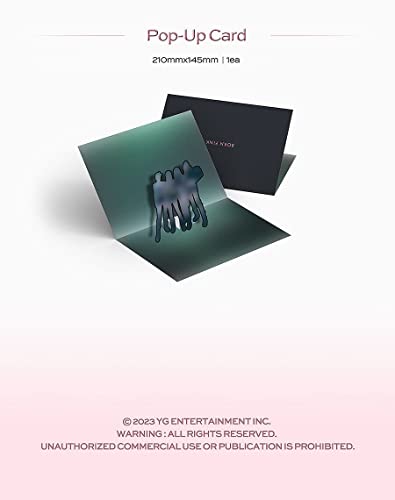 BLACKPINK 2nd Album Vinyl Limited Edition