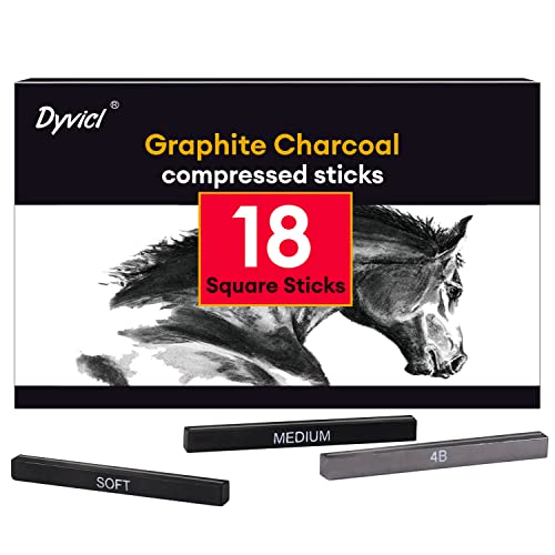 Dyvicl Graphite Charcoal Sticks - Pack of 18