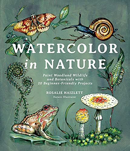 Beginner-Friendly Watercolor Nature Painting Kit