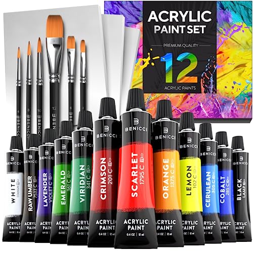 12 Color Acrylic Paint Set with Brushes & Canvases