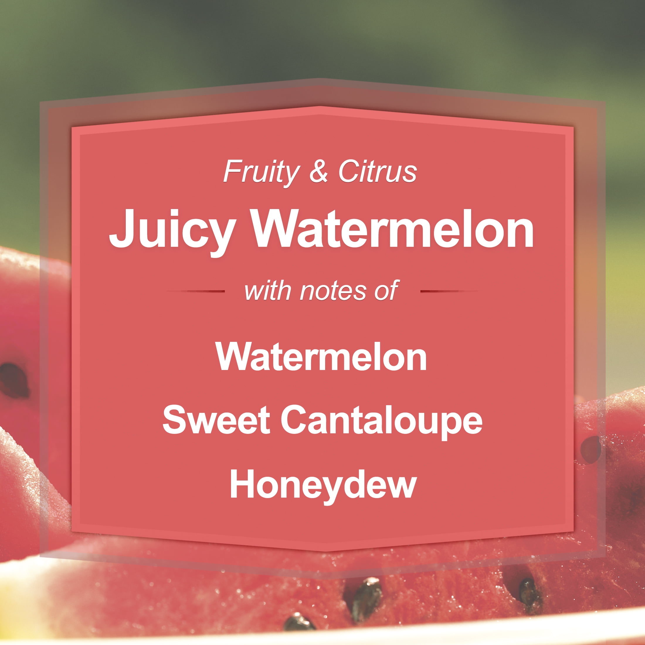 Juicy Watermelon Scented Jar Candles - 2-Pack