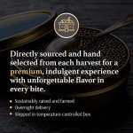 Gourmet Caviar Taster Gift Set with Blinis & Creme Fraiche