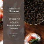 Olma Osetra Sturgeon Black Caviar - 2 oz