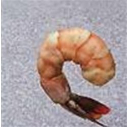 Cooked Jumbo and Medium White Shrimp - 4 lb