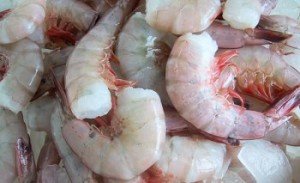 Jumbo Key West Pink Shrimp - 1 Pound