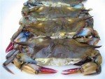 Fresh Soft Shell Blue Crab - 2 Dozen