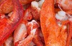 Maine or Canada Lobster Claw & Knuckle Meat