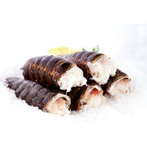 Ten Premium Cold Water Lobster Tails 8-10 Oz
