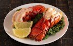 Ten Premium Cold Water Lobster Tails 8-10 Oz