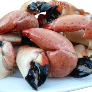 5 lb Florida Stone Crab - Gourmet Delight