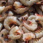 Fresh Gulf White Shrimp - 16-20 Count