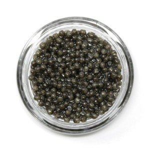 Giaveri Royal Dark Beluga Hybrid Caviar (1 oz)
