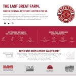 Marble 57° Wagyu Ground Steak - 5 Pounds