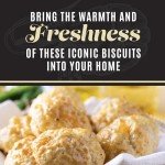 Cheddar Bay Biscuit Mix with Garlic Herb Seasoning