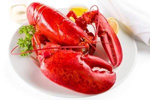 Live Maine Lobster - 2.5 lb (2 Pack)
