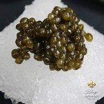 Kaluga Sturgeon Caviar - Premium 8 oz