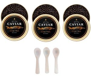 Bester Premium Russian Osetra Caviar Trio Pack
