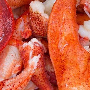 Cameron's Seafood 2 Pounds Lobster Meat