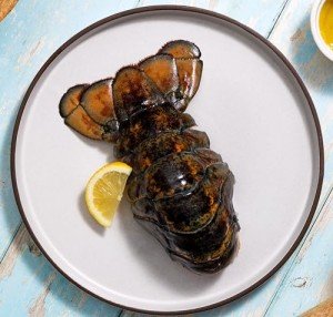 Maine Lobster Tails - Premium 12oz to 14oz