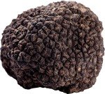 Fresh Black Winter Truffles - 2 oz Pack