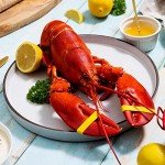 6 Pack of 1.5 lb Fresh Maine Lobsters