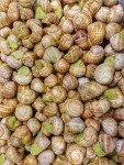 Top-Rated Burgundy Snails for Gourmet Escargot