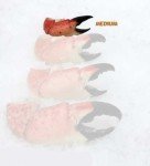 Medium Fresh Florida Stone Crabs - 5 lbs