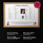 Gourmet Japanese Wagyu A5 New York Strip Steak