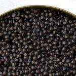 Premium Beluga Sturgeon Caviar - 2 Oz