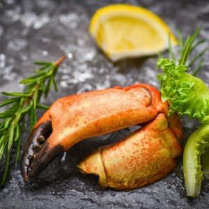 Fresh Florida Stone Crab Claws - 2 lbs