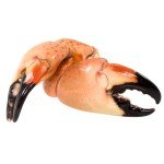 Fresh Florida Stone Crab Claws - 2 lbs