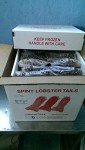 4 Delicious Spiny Lobster Tails