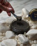 Baku Caviar Premium Osetra Black Caviar 1.76 oz