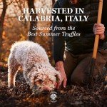 Italian Black Summer Truffle Carpaccio in Olive Oil