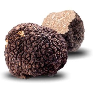 Centro Tartufi Molise Fresh Italian Black Autumn Truffles, Burgundy Truffles, Gourmet Solid and aromatic flavor Truffles, Product imported from Italy (1.6 OZ)