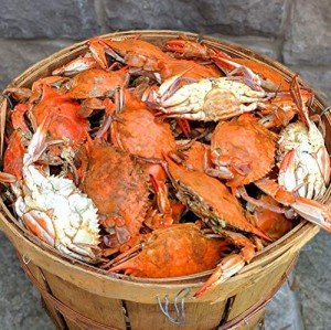 Maryland Blue Crabs Females Sook Steamed (Half Bushel)