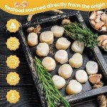 OCEANZEN:Premium Frozen Seafood Premium 10 to 20 Count Per Pound Dry Sea Scallops(4 LB)